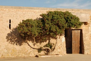 008_Cala-D'or Mallorca