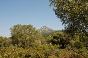 082 Kalamos-Port-Leone (1)