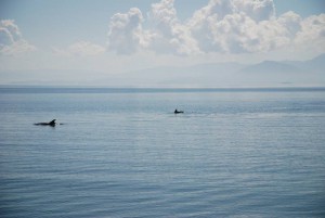 050-Ambrakischer-Golf