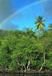 059_St_Lucia_Marigot_Bay_3