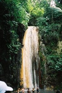 087_St_Lucia_Waterfall_Botanical_Garden_4