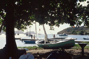 118_Grenadines_Seaside_Tobago_Cays_1