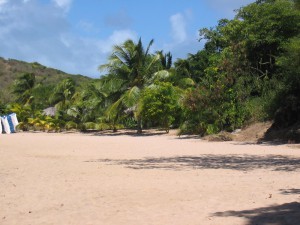 130_Grenadines_Mayreaux_4