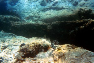 138_Grenadines_Mayreaux_12