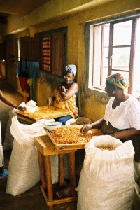 215_Grenada_Nutmeg_Factory_5