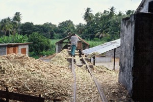 240_Grenada_Rum_destillery_6