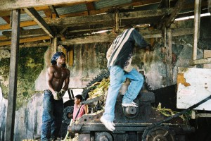 242_Grenada_Rum_destillery_8