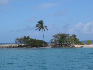 290_Sandy_Island_3
