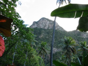 374_Back_St_Lucia_Pitons_Bay_16