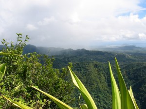 384_Back_St_Lucia_Pitons_Bay_22c