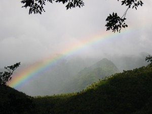 388_Back_St_Lucia_Pitons_Bay_26