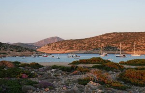 115_Amorgos_Kalotarissita